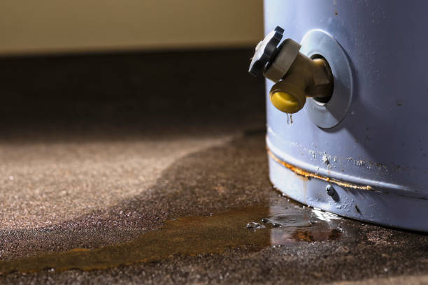 Best Commercial water damage restoration  in Artondale, WA
