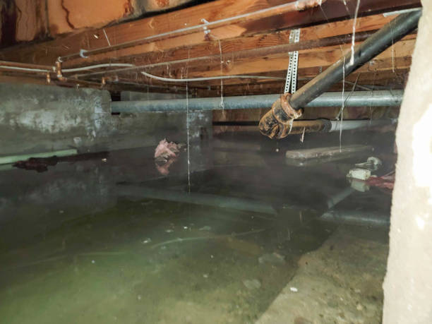Best Emergency water damage restoration  in Artondale, WA