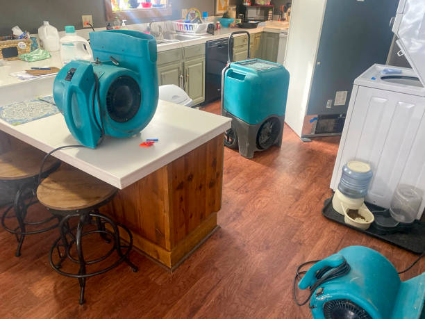 Best Fire Damage Restoration  in Artondale, WA