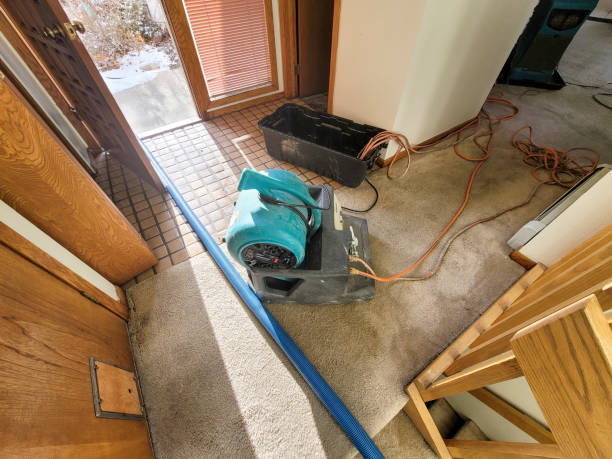 Best Flooded house restoration  in Artondale, WA