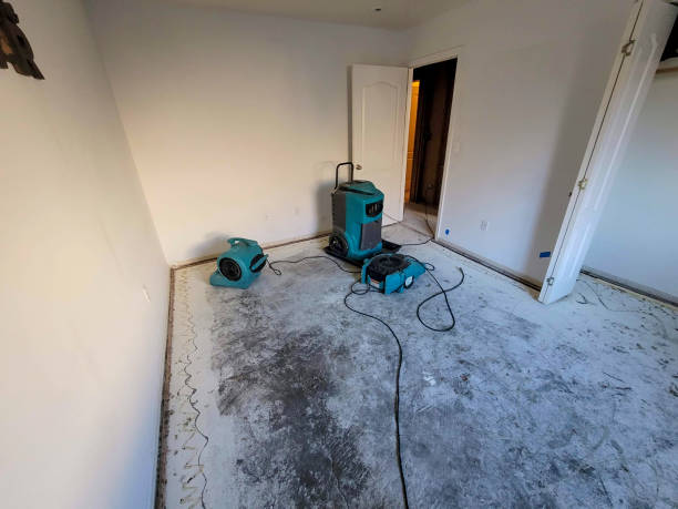 24/7 water damage repair in Artondale, WA
