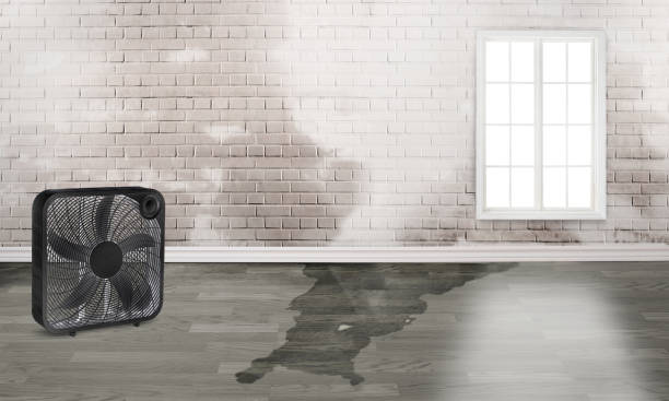 Best Water damage restoration process  in Artondale, WA