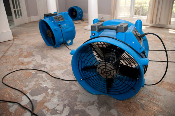 Water damage restoration process in Artondale, WA