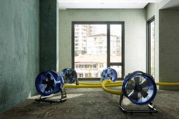 Best Flood restoration services  in Artondale, WA