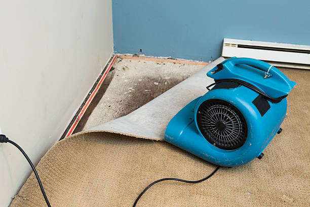 Best Water damage cleanup near me  in Artondale, WA